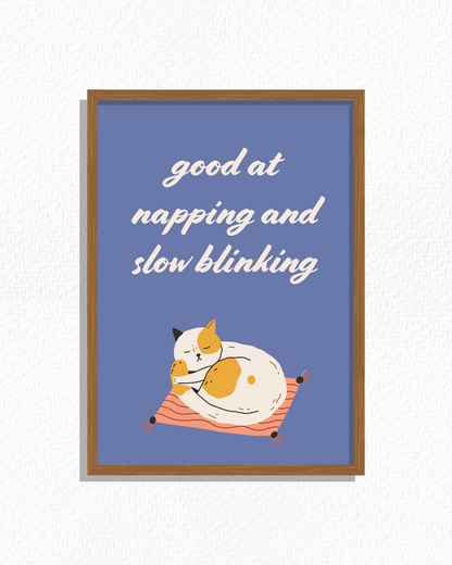 Cat Behavior